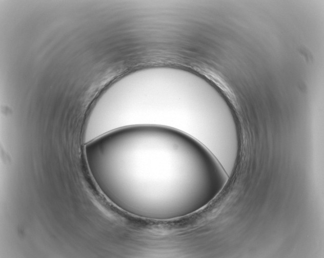 X0000091360489200708101057