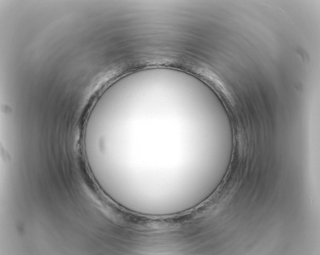 X0000091360490200708101057