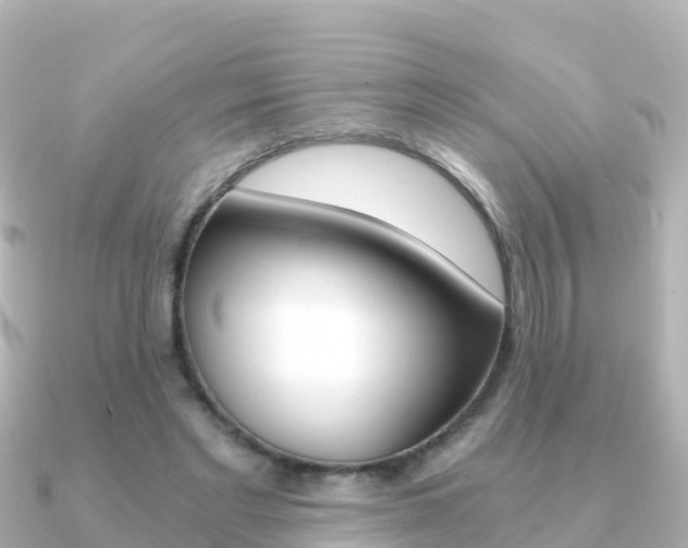 X0000091360493200708101057