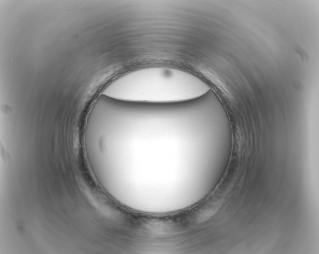 X0000091360494200708101057