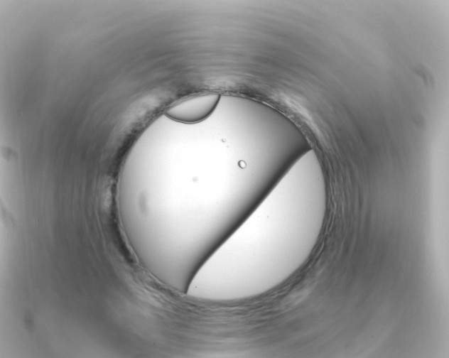 X0000091360495200708101057