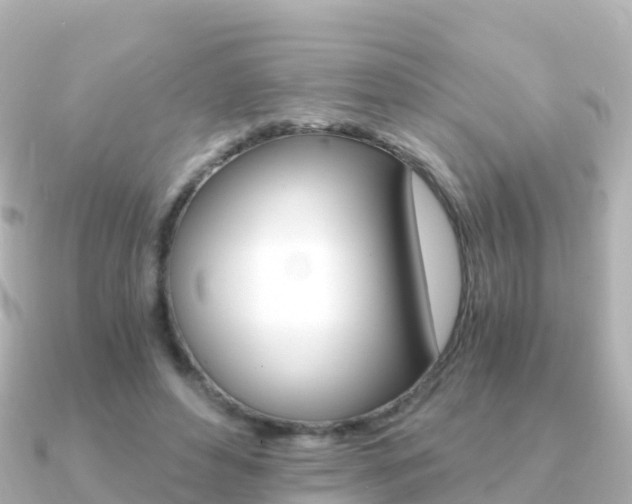 X0000091360496200708101057
