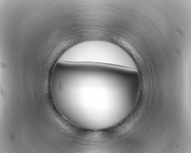 X0000091360497200708101057