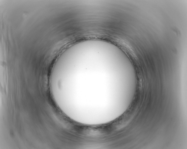 X0000091360498200708101057