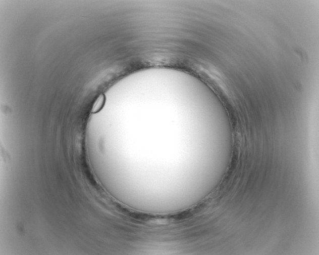 X0000091360499200708101057