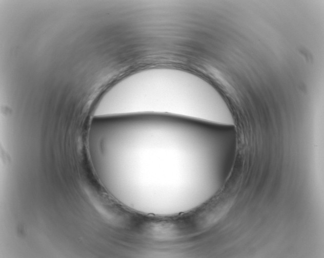 X0000091360500200708101057