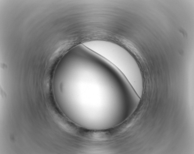 X0000091360501200708101057