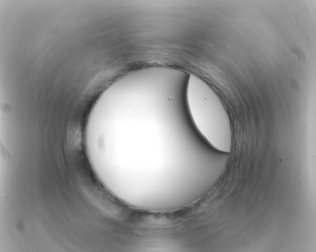 X0000091360502200708101057