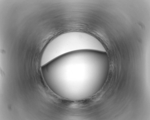 X0000091360504200708101057