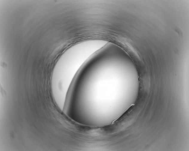 X0000091360505200708101057