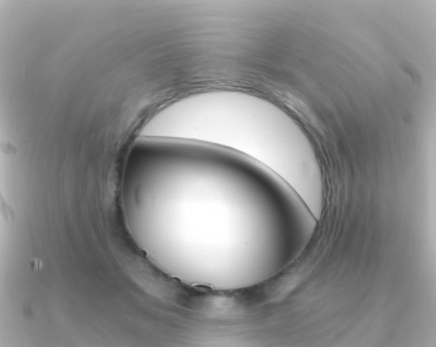 X0000091360509200708101057