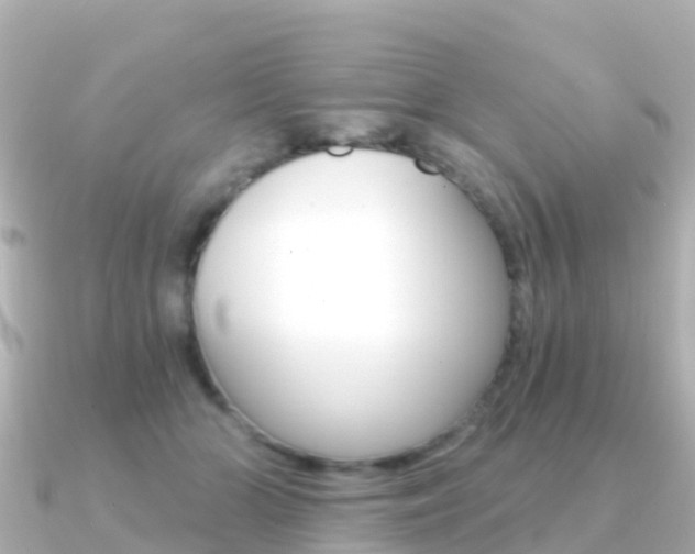 X0000091360510200708101057