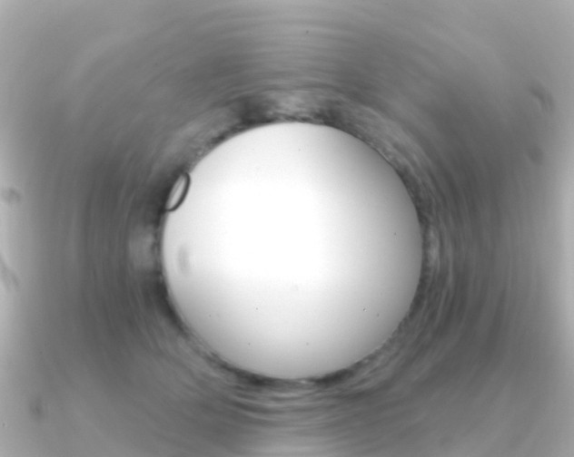 X0000091360514200708101057