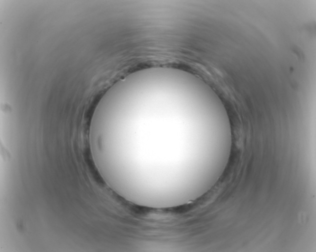 X0000091360515200708101057
