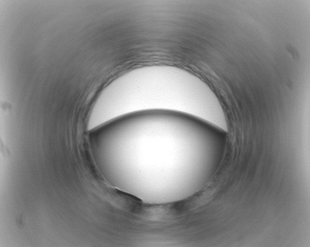 X0000091360516200708101057