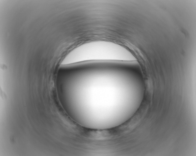 X0000091360517200708101057