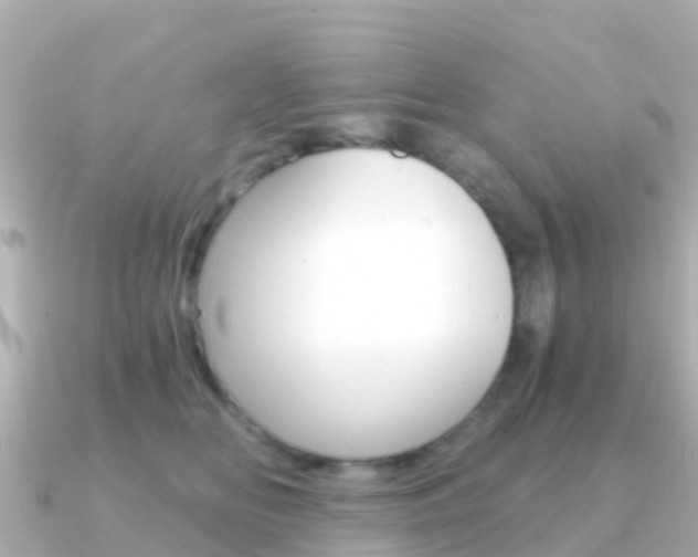 X0000091360518200708101057