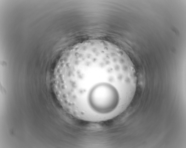 X0000091360519200708101057