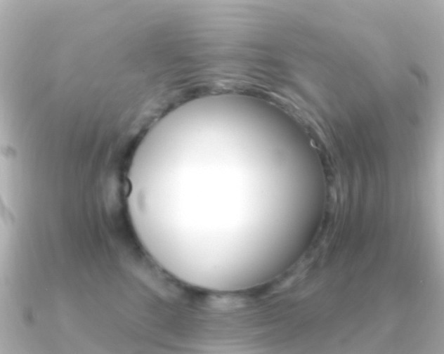 X0000091360520200708101057