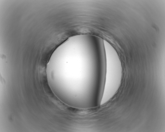 X0000091360521200708101057