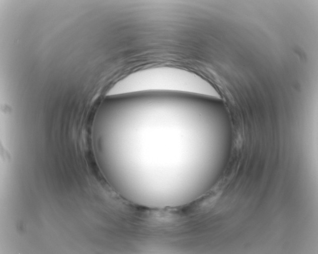 X0000091360524200708101057