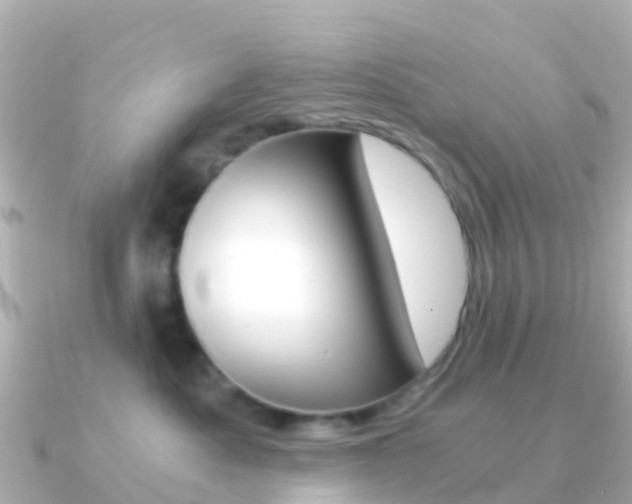 X0000091360525200708101057