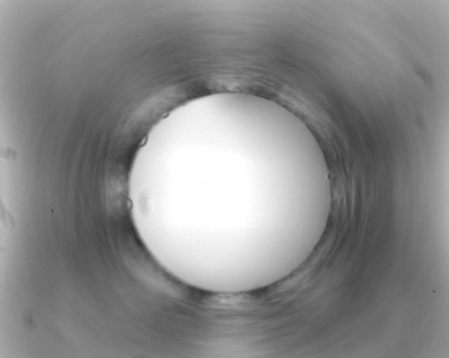 X0000091360526200708101057