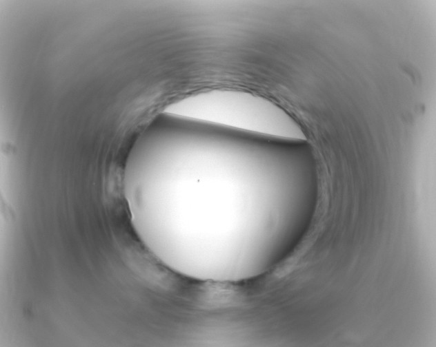 X0000091360528200708101057
