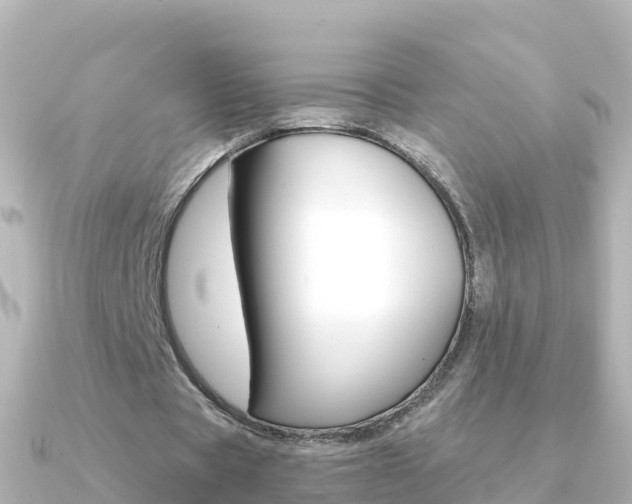 X0000091360529200708101056