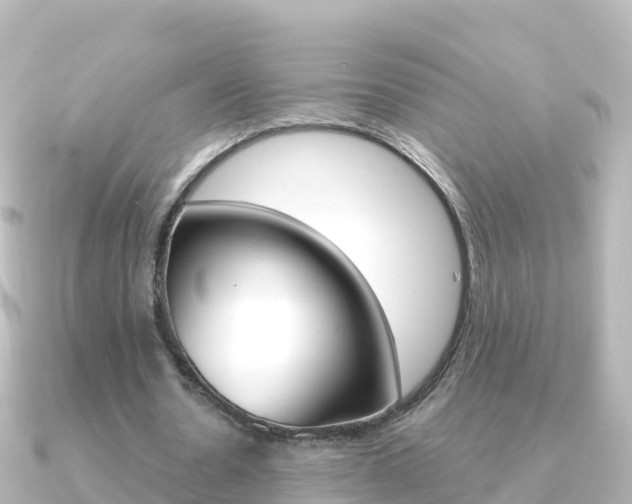 X0000091360530200708101056