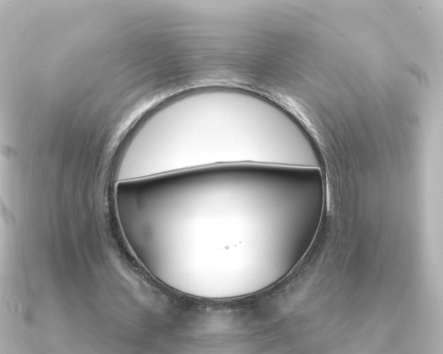 X0000091360531200708101056
