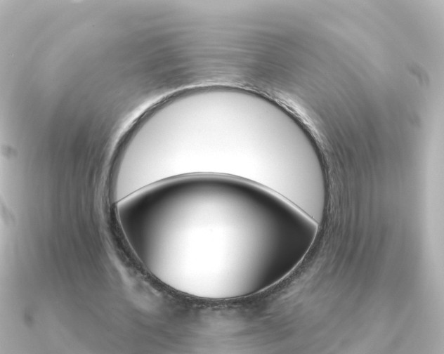 X0000091360532200708101056