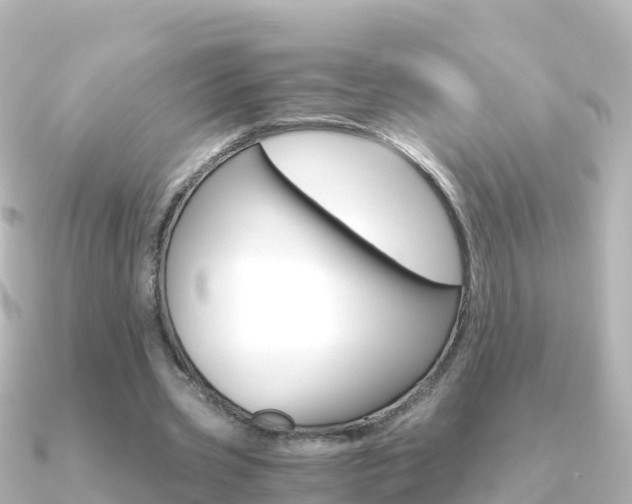 X0000091360533200708101056