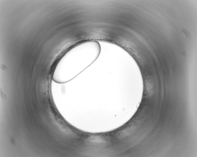 X0000091360534200708101056