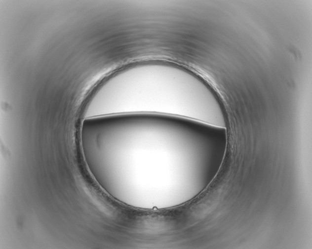 X0000091360535200708101056