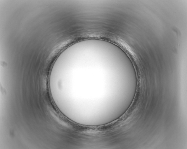 X0000091360537200708101056