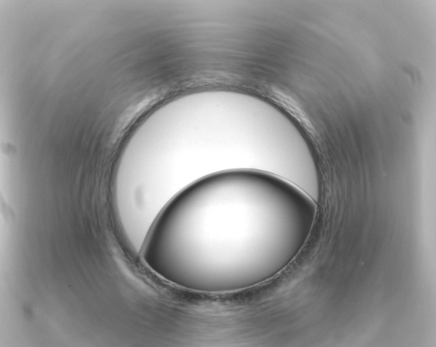 X0000091360538200708101056