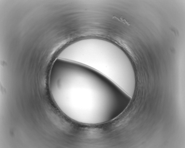 X0000091360539200708101056