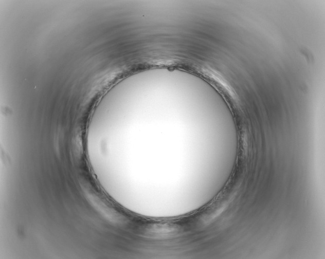 X0000091360541200708101056