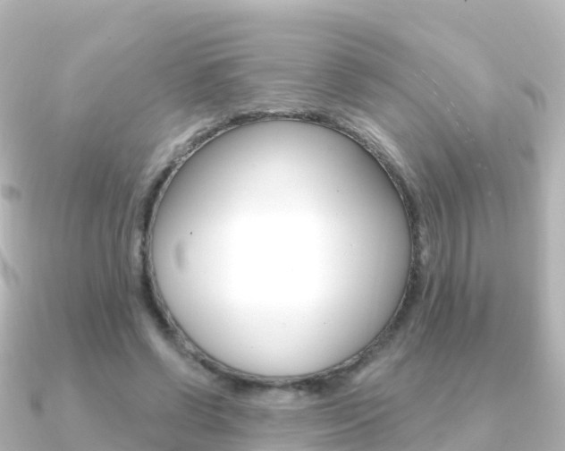 X0000091360542200708101056