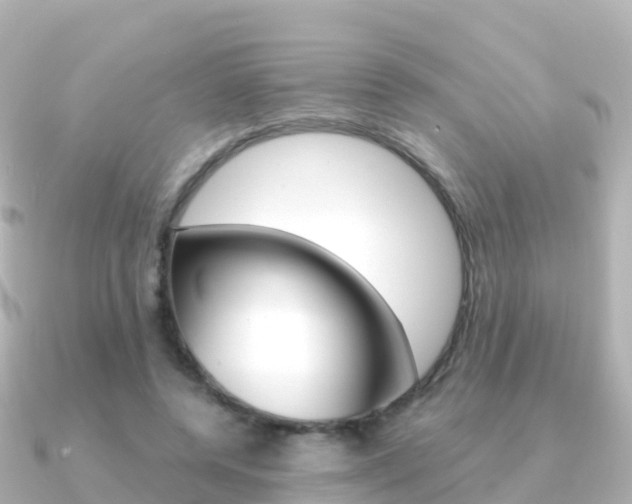 X0000091360544200708101056