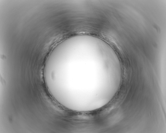 X0000091360545200708101056