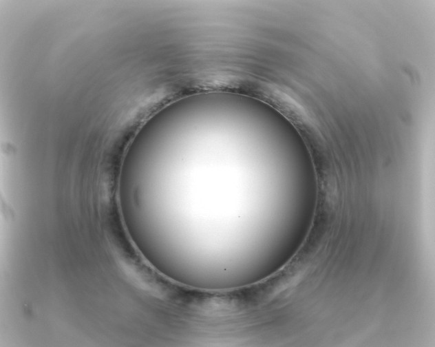 X0000091360546200708101056