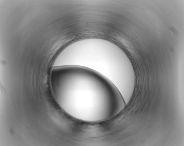 X0000091360548200708101056