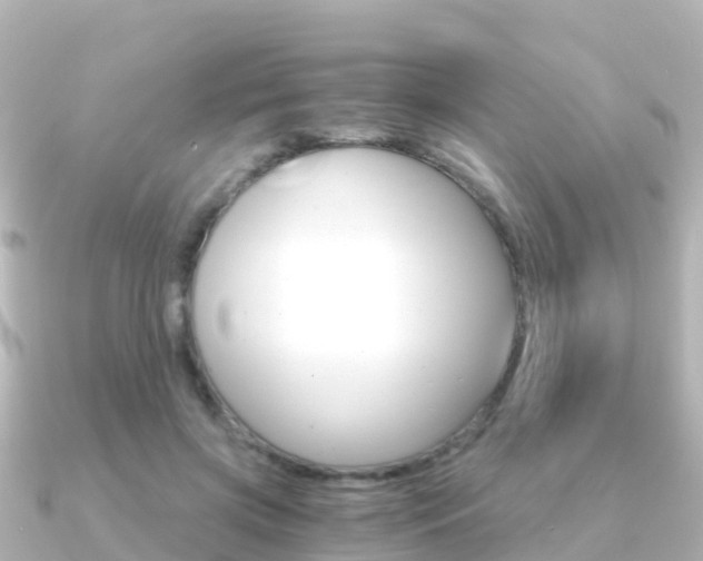 X0000091360549200708101056