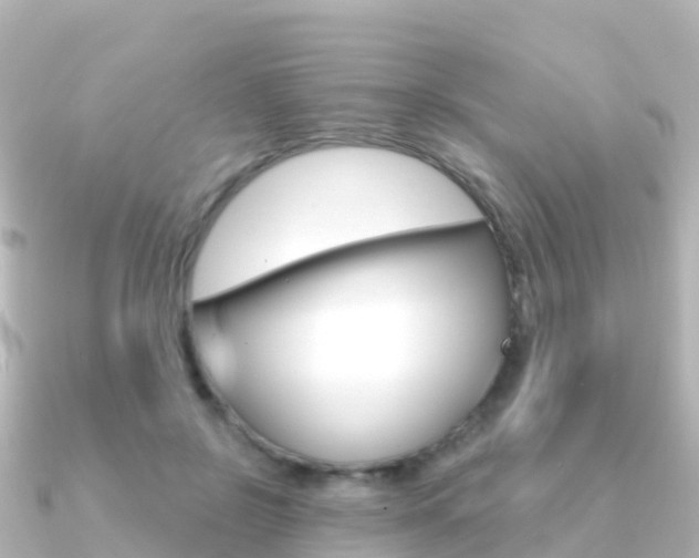 X0000091360550200708101056