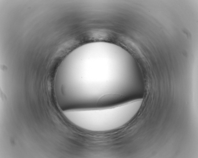 X0000091360551200708101056