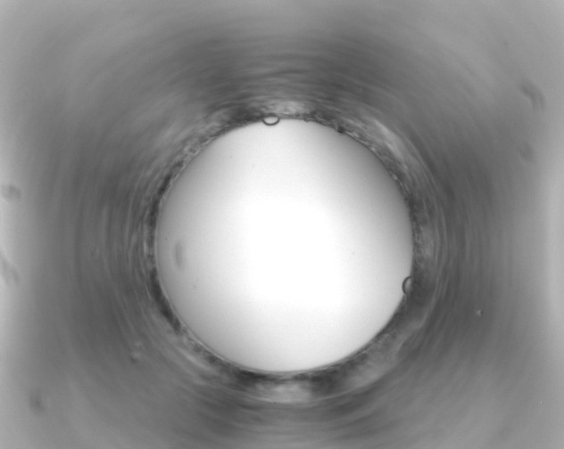 X0000091360553200708101056