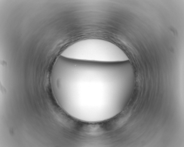 X0000091360554200708101056
