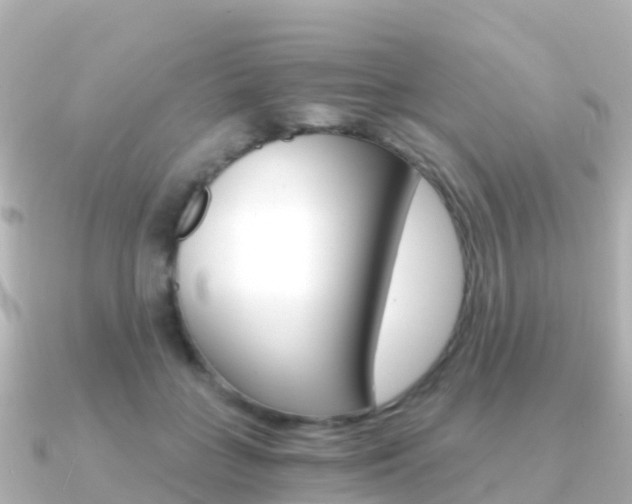 X0000091360555200708101056